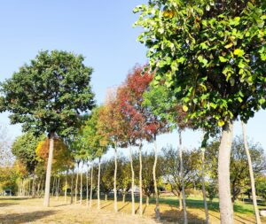 whatsapp slika 2025 10 21 u 16.48.56 e0c7eb13