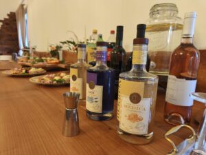 Bekrija medica, šljiva i gin